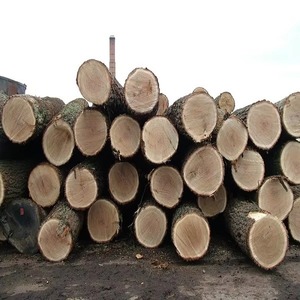 High Quality Doussie Timber <b>Wood</b> <b>Logs</b> - Raw Material High Quality LOW TAX - Product Image 4