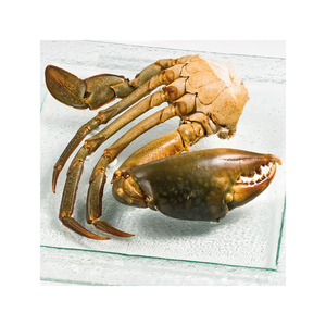 Cangrejo de manglar congelado a precio de fábrica para grandes compradores de mariscos - Product Image 3