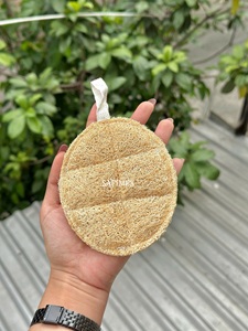 Éponges naturelles en loofah ovales pour le bain et la cuisine, provenant de la ferme vietnamienne, cultivées de manière biologique, sûres pour les humains - Product Image 2