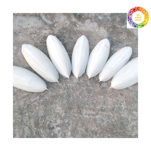 Calcio esencial de hueso de sepia natural para aves y reptiles/hueso de sepia de primera calidad para suplementación de calcio. - Product Image 6