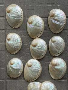 Abalone shell Paua shell seashell pink paua shells rainbow iridescent abalone <b>candle</b> making shells polished abalone shell bulk - Product Image 3