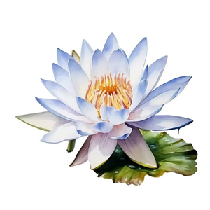 Impression d'art personnalisée DTF Fleur de lotus, pétales bleus et blancs, centre jaune, fond feuille verte, impression par transfert thermique imperméable pour jouets - Product Image 5