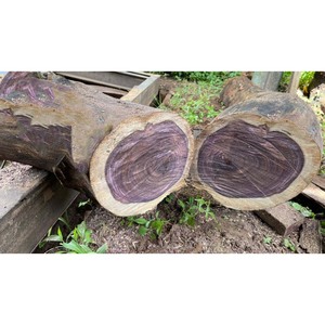 Troncos de madera dura Azobe de calidad superior, densos y duraderos, estándar de exportación - Product Image 6