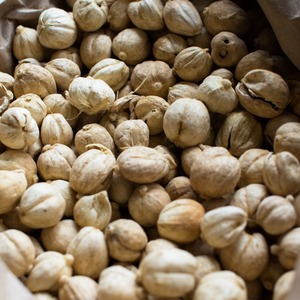 Cardamomo Blanco Orgánico Indonesio de Alta Calidad, Producto Agrícola Premium, Precios Competitivos, Proveedor Mayorista para Pedidos al por Mayor - Product Image 5