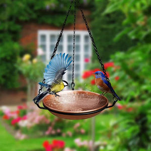 Fabricant de confiance vendant des bains d'oiseaux de jardin en métal durables et mangeur pour les parcs et les jardins avec des couleurs et des tailles personnalisées - Product Image 4