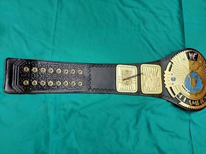 Hongmioo Fédération Mondiale de Lutte – Plaque de ceinture en alliage or et bleu, boucle imprimée par transfert thermique, style sportif, 26CM X 120CM - Product Image 4