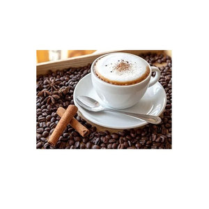เฟนโซ่ กาแฟสำเร็จรูป 3-in-1 รสเฮเซลนัท คุณภาพสูง รสชาติกลมกล่อม กาแฟอาราบิก้าคั่วเข้ม บรรจุกล่อง 50 ซอง - Product Image 1