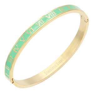 Bracciale a cerniera in acciaio inossidabile placcato oro turchese braccialetti moda 6mm di larghezza - Product Image 1