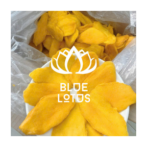 VENTE CHAUDE FD Mangue douce séchée Vietnam Snack écologique zéro sucre biologique sain choix végétalien 2025 - Product Image 1