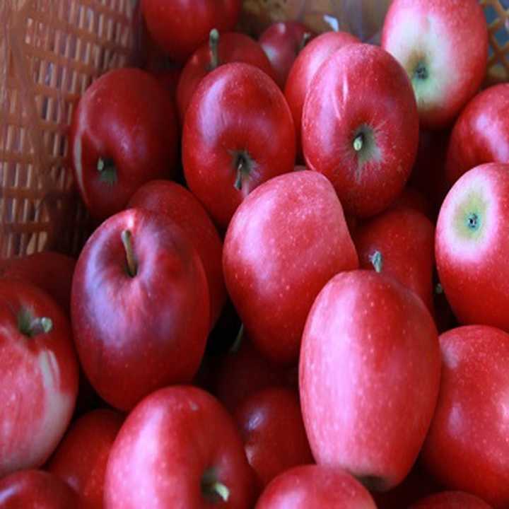Высококачественные натуральные королевские гала-Яблоки Свежие и вкусные зеленые Фудзи в продаже по сладкой цене