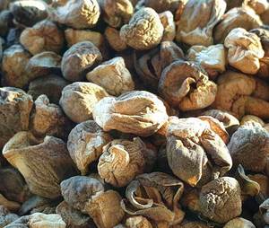 Meilleur exportateur de champignons de paille séchés du Vietnam, naturels et nutritifs, en vrac - Product Image 5