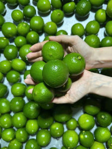 สีเขียวมะนาวต้นกำเนิดเวียดนามราคาดีพร้อมส่งมะนาวสดไร้เมล็ด/คุณลูซินด้า - Product Image 2