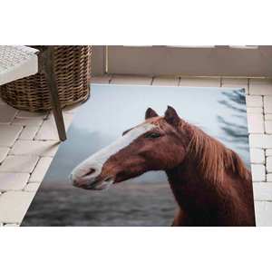 Tapis imprimé : Petit, d'appoint, pour salle à manger, entrée, motif cheval, style ferme, animalier, sauvage, décoration de salon, cadeau, tapis en chenille - Product Image 2