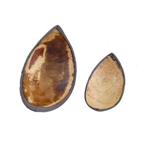 Cuencos de cáscara de coco desechables ecológicos modernos, tazas de postre de frutas biodegradables personalizadas para almacenamiento de alimentos, fiesta de Camping - Product Image 5