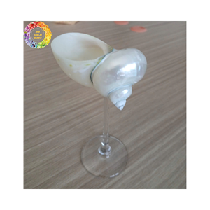 Copas de vino de concha marina, Copas de concha costera hechas a mano de Vietnam, elegantes copas de concha marina para decoración de bodas - Product Image 6