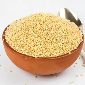 Millet de arroz de la mejor calidad para alimentación animal, bolsa sencilla de embalaje de arroz sin GMO, en venta