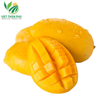 MANGUE CONGELÉE DE MEILLEURE QUALITÉ D'EXPORTATION DU VIETNAM/MANGUE FRAÎCHE LA MEILLEURE VENTE AU PRIX BON MARCHÉ