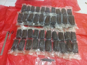 Factory Supply Premium Grade Dried Black Indonesia <b>Vanilla</b> <b>Beans</b> High Quality Gourmet Pods 14-18cm Vacuum Packed 6 Months Shelf - Product Image 6