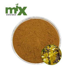 Bubuk Phillyrin 1% 2% 4% Ekstrak Buah Forsythia Suspensa Bubuk Ekstrak Tumbuhan Alami untuk Kustomisasi - Product Image 1