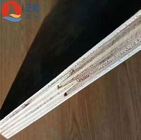Contreplaqué filmé noir marin recyclé de première qualité E2, 1220x2440mm, 9/12/15/18mm, pour coffrage