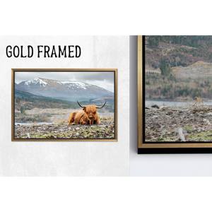 Arte impreso en lienzo de vaca de las Tierras Altas: elegante decoración rústica, lienzo con marco dorado, 1 pieza - Product Image 1