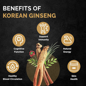 Bebida Oral de Ginseng Rojo y Saúco Negro a Precio de Fábrica, Salud Natural, Antioxidante, Refuerzo del Sistema Inmunitario, Gotas Líquidas de Ginseng - Product Image 5