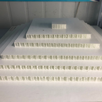 Panneau sandwich FRP en composite de fibre de verre PU XPS avec mousse alvéolaire ignifuge