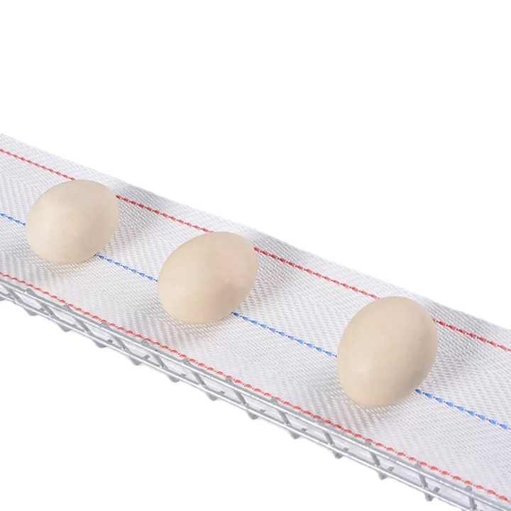 Conveyor Belt For Poultry Farm Egg Collection Belt 100 Mm Chicken