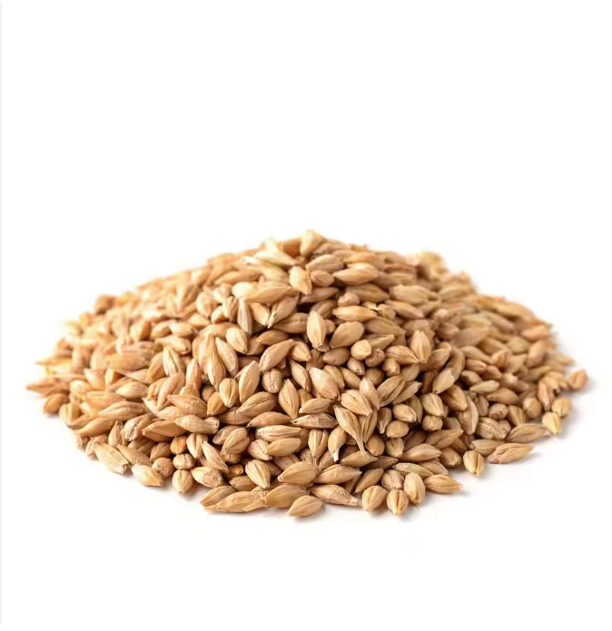 Wholesale Natural Organic Barley Seeds Grain for Animals of the First Grade Healthy Fatty Acids Low Price Fast Delivery