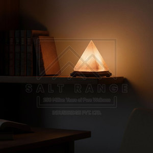Lampe en sel de l'Himalaya sculptée de qualité supérieure, 100% pure, personnalisable, décoration d'intérieur et lampe de bien-être avec logo personnalisé au toucher réel - Product Image 4