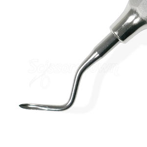 Elevador Dental de Cirugía Oral Premium para Extracción de Raíces, Instrumento Dental Profesional de Acero Inoxidable - Product Image 6