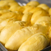 Durian Vietnam Beku Segar Berkualitas Tinggi Proses IQF Kemasan Vakum Rasa Manis Umur Simpan 12 Bulan-Pasokan Grosir Penjualan Laris