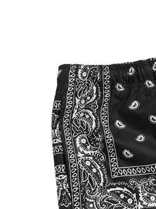 2025 Trending Custom Plus Size Double <b>Layer</b> Paisley Mesh 5 Inch Inseam Youth Basketball Bandana Print Men's Shorts - Product Image 4