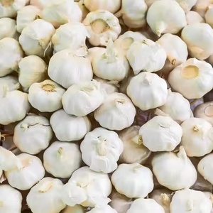 Ail personnalisé de qualité supérieure pour la cuisine du fabricant indien au meilleur prix Ail - Product Image 3