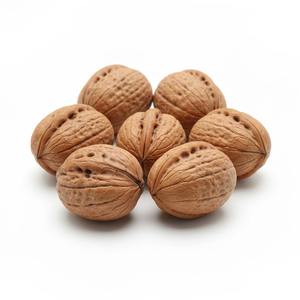 Nueces a granel de primera calidad y nueces con cáscara para compradores internacionales ideales para aperitivos panadería confitería - Product Image 5