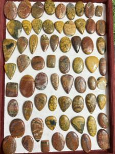 AAA + คุณภาพหินแจสเพอร์ Cabochon ทะเลธรรมชาติอัญมณีหลวมหลากสีสำหรับทำเครื่องประดับรูปทรงผสมและขนาดหินแจสเปอร์ทะเล - Product Image 2