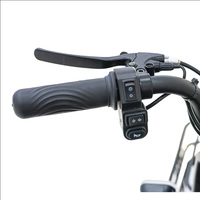 Tricycle électrique de loisirs |   Corps ouvert |   Phares à LED |   Petit scooter domestique