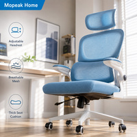 Silla Ergonómica de Oficina con Respaldo Alto de Malla, Ajustable en Altura, Giratoria, con Soporte Lumbar y Reposabrazos para Oficina en Casa