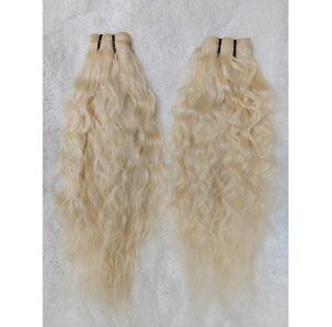Perruque de cheveux humains blonds 613 avec délié naturel et devant en dentelle pré-plumé pour les femmes à la recherche de cheveux longs doux soyeux et raides - Product Image 5