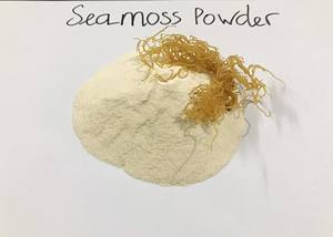 Best-seller Seamoss - Seamoss pris de mer au Vietnam - Product Image 6