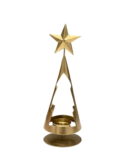 ตามที่แสดง