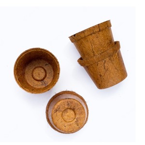Petits pots en coco compostables bon marché, pots de démarrage de graines durables fabriqués au Vietnam en gros - Product Image 4
