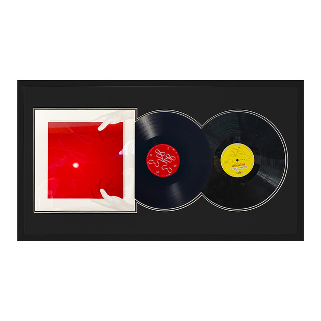 Black Wood 12-Inch Vinyl LP Album Cover Shadow Box Display Case with Flower & Animal Design for Music Art Collector Decor