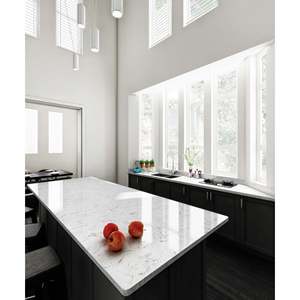 Grande dalle de marbre Unionstone Argento, imperméable, design moderne, pour application murale - Product Image 2