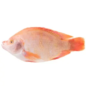 Лучшие морепродукты свежая замороженная красная Тилапия Рыба Красный окунь Тилапия Рыба для тилапии красная рыба