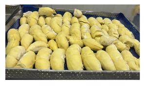 Frutas durianas congeladas a la venta-Monthong Durian de Vietnam Calidad premium a buen precio 2024 - Product Image 5