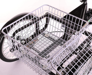 Tricycle Adulte Pliable 3 Roues 20 Pouces pour le Shopping et les Voyages, avec Panier de Transport, Cadre Robuste et Équipement Optimal - Product Image 1