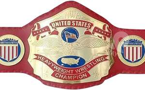 เข็มขัดแชมป์แบบกำหนดเอง MMA มวย งานพิเศษ หนังแท้ เข็มขัดแชมป์ยูโด มวย - Product Image 3