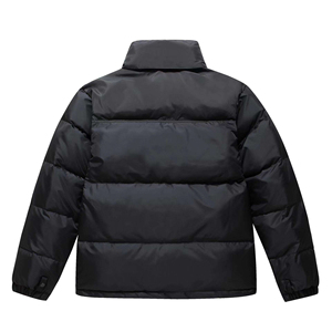 Vestes d'hiver personnalisées ODM pour hommes Vêtements d'hiver chauds avec logo avant Position Manteaux d'extérieur rembourrés à bulles pour hommes - Product Image 4