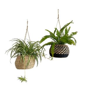 Plante d'intérieur corde suspendue jardinière suspendue jonc de mer panier suspendu planteur couverture Pot couverture suspendu prêt à exporter - Product Image 1